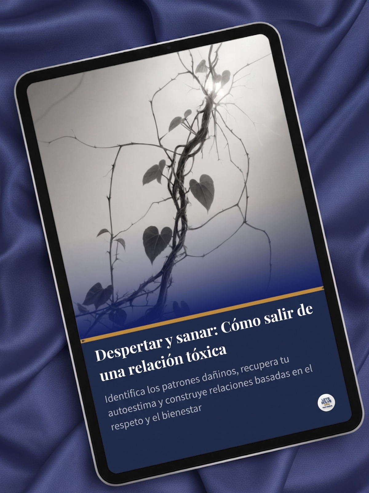 Despertar y Sanar: Cómo Salir de una Relación Tóxica