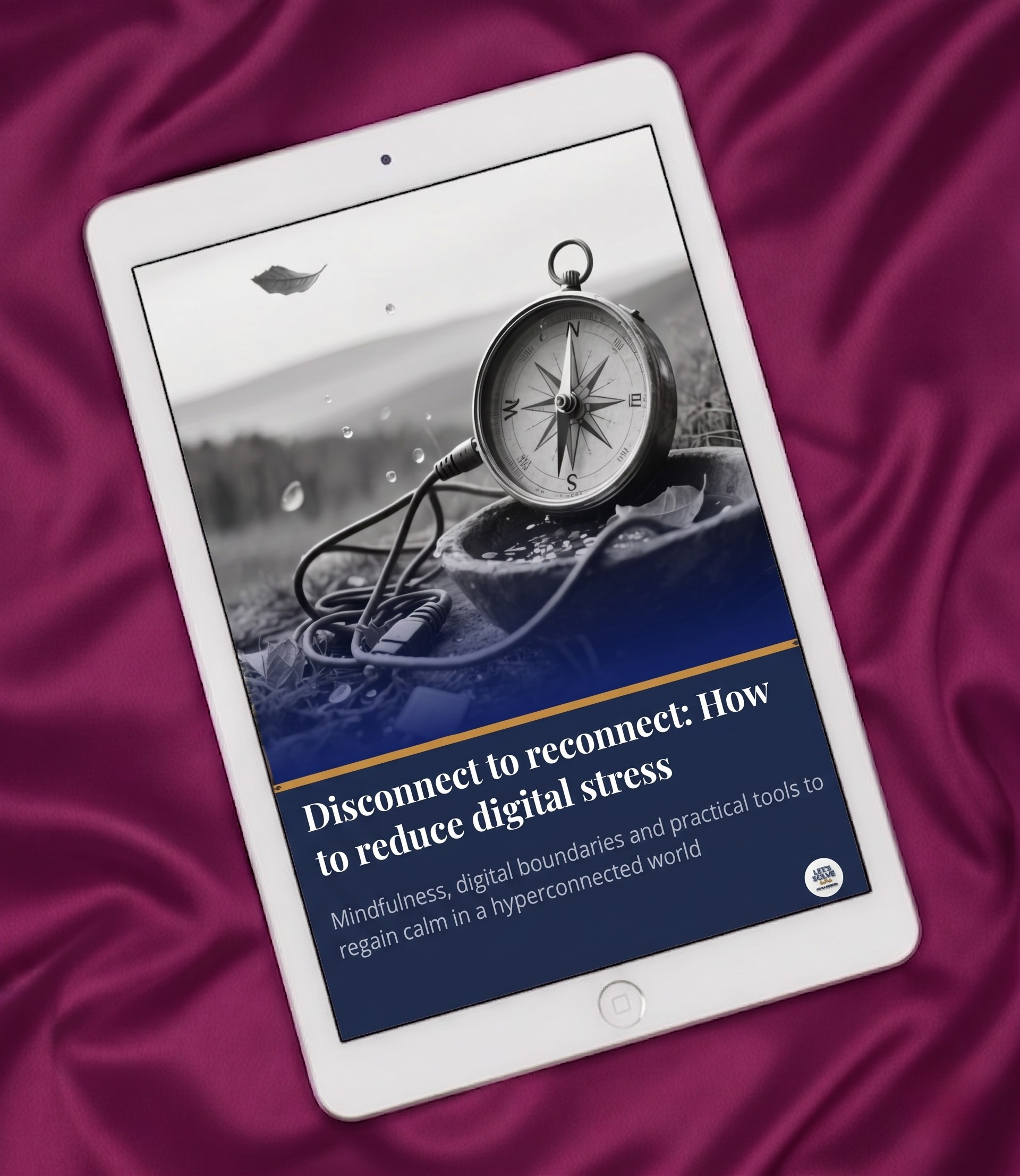 Disconnect to Reconnect: How to Reduce Digital Stress