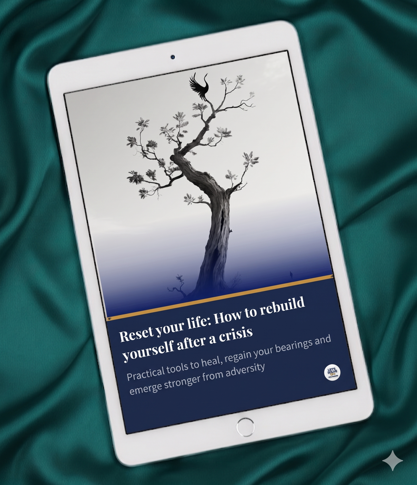 Reset Your Life: How to Rebuild Yourself After a Crisis Let´s Solve Your Problem