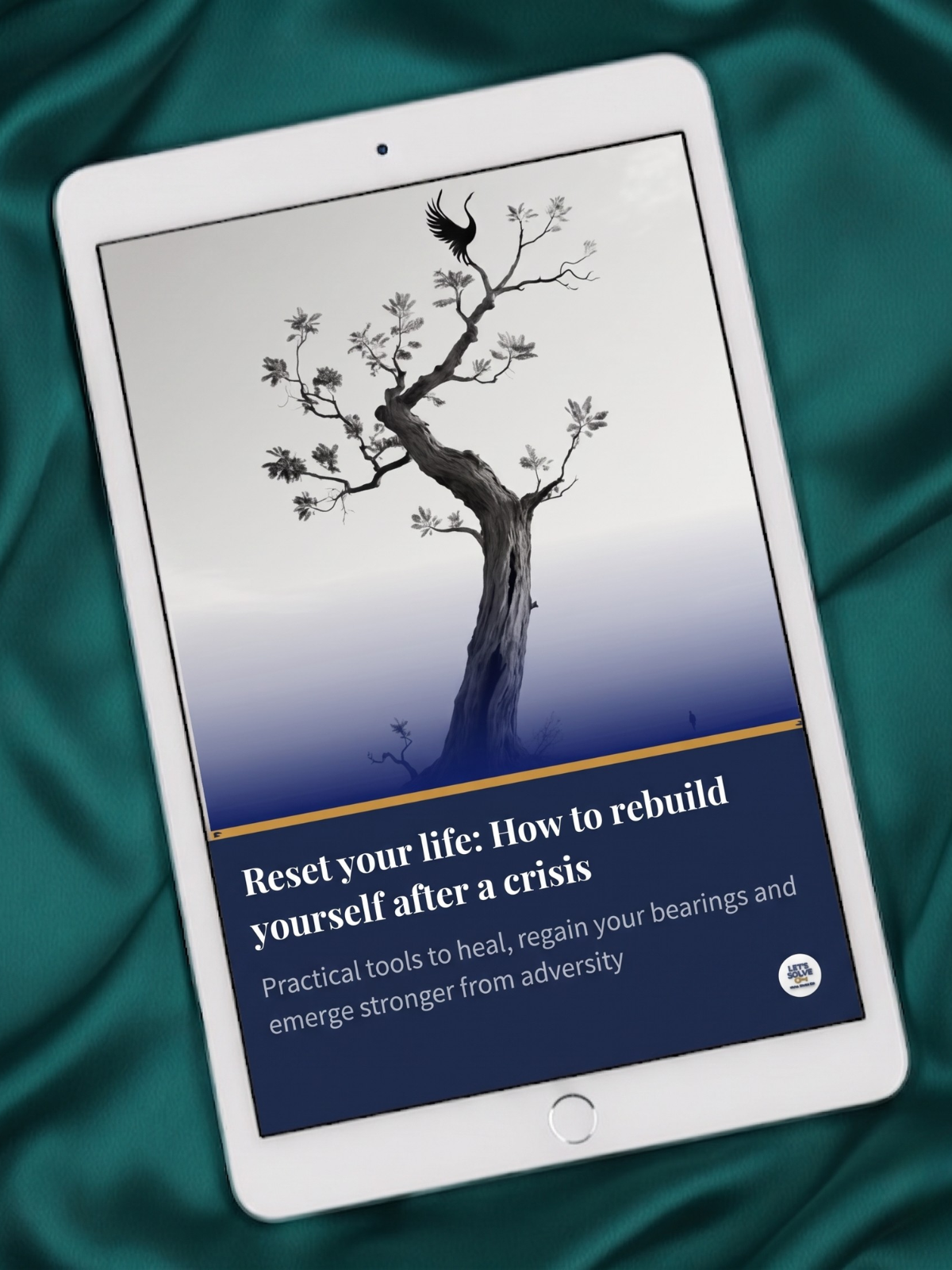 Personal Rebuilding Pack: Overcome a Crisis and Build Something Solid
