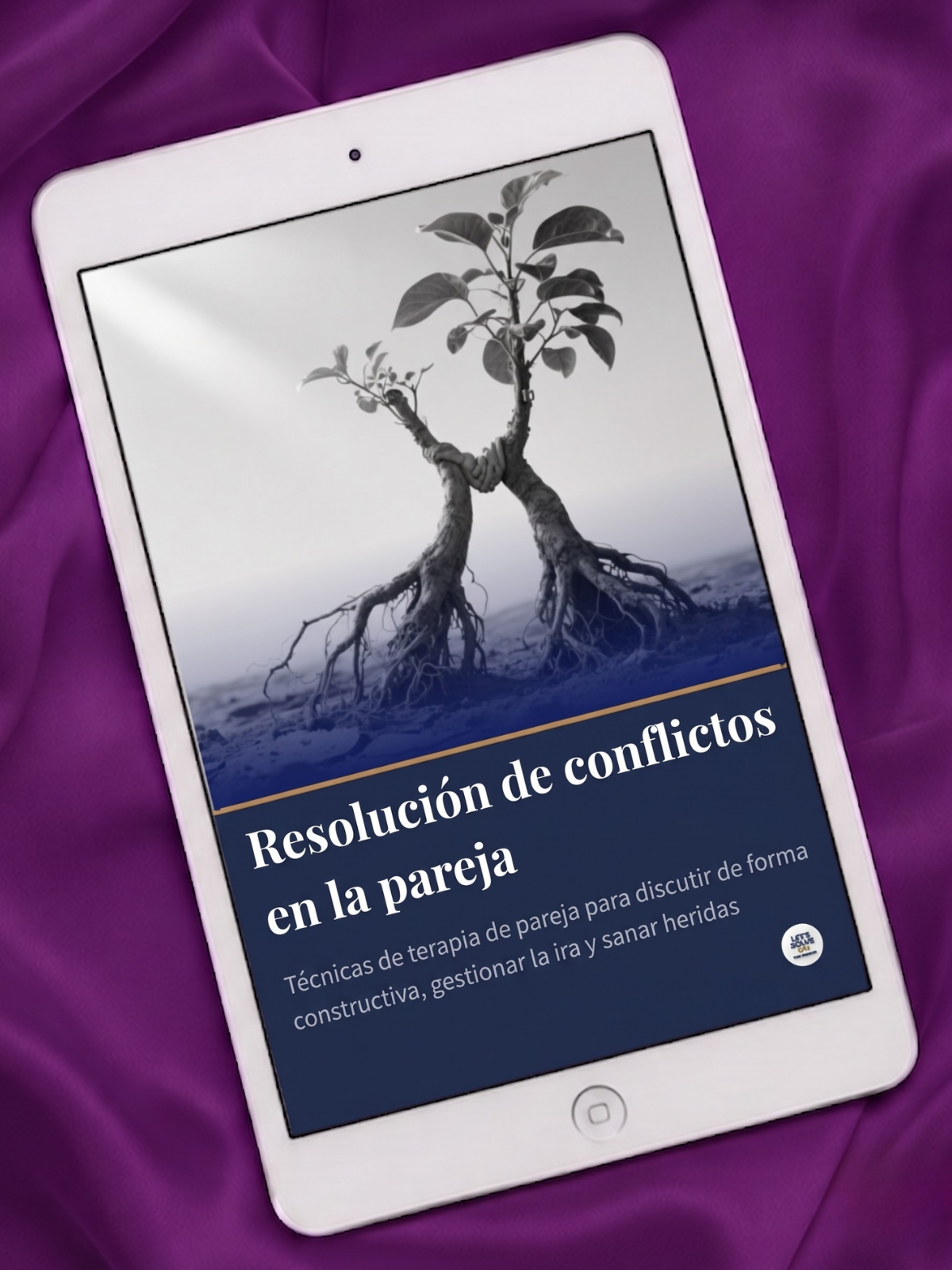 Resolución de Conflictos en la Pareja